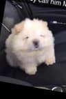 bookieskin profile picture