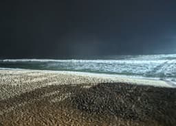 beachling
