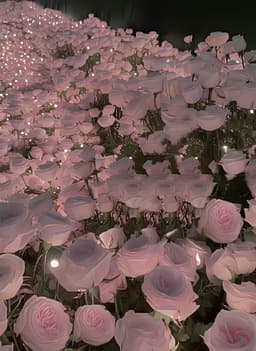 flowersn6