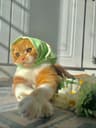 lilya843 user profile picture