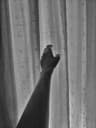 SkincareNoob profile picture