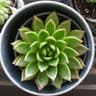 craftingdeeds profile picture