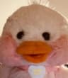 FaithappleLiliy user profile picture