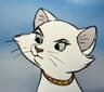 purrfectly profile picture