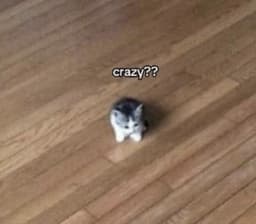 MayMay33