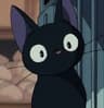jiyahqi user profile picture