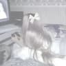swanxly profile picture