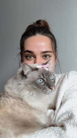 Camilletesigne