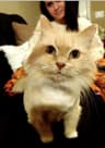 NoelleM user profile picture