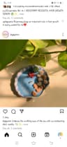 shruthy profile picture