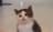 funkola profile picture