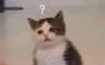 funkola profile picture