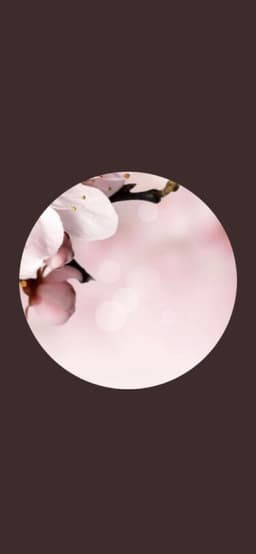 Ajsensitiveskincare