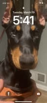 Baileysdad profile picture