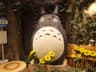 ochamomile profile picture