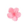 kbeautypicks user profile picture
