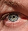 Ainnm user profile picture