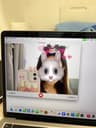 babyrenes profile picture