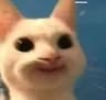 heelooree user profile picture