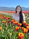 sandychiang user profile picture