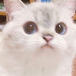 sarangdesu