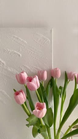 softytulips