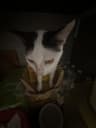 lilysk profile picture