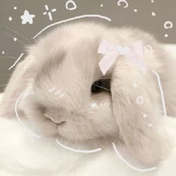 snowbunn