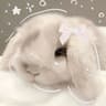 snowbunn profile picture