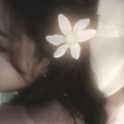 iI