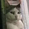 nurinqistina91 profile picture