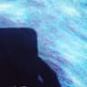 putrifz profile picture