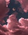 LockerIsi profile picture
