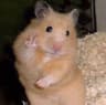 oliviasythes profile picture