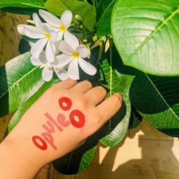 OpuleoO