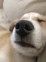 plclyn profile picture