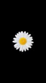 EyLee profile picture