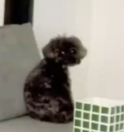 LeeH