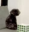 LeeH profile picture