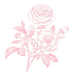 roseyonsundays