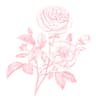 roseyonsundays profile picture