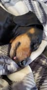 Picky58360 profile picture