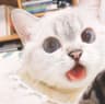 Megumi profile picture