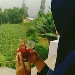 Dianarizky