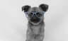 MacuPG profile picture