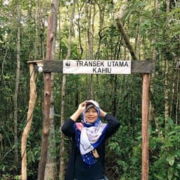 arintasetia