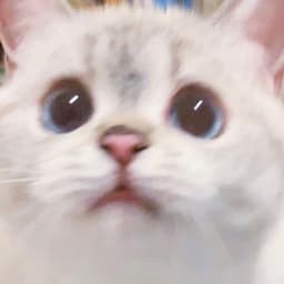 vicstor
