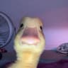 peachyffl profile picture
