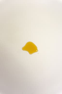 saneforky