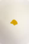 saneforky user profile picture
